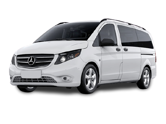 VIP Design Minibus